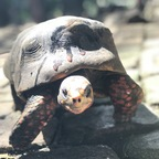 jonjinx OnlyFans Leak 

 profile picture
