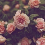 jordyn OnlyFans Leaked Photos and Videos 

 profile picture