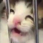 karasboke (疲) OnlyFans content 

 profile picture