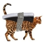 kyliexo (PrincessK) OnlyFans Leaked Content 

 profile picture