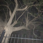 layana OnlyFans Leaked Photos and Videos 

 profile picture