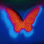 Onlyfans leaks leovenus 

 profile picture