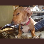 Onlyfans leaks lntchewie 

 profile picture