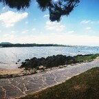 maltese (Maltese) OnlyFans Leaks 

 profile picture