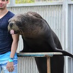 Onlyfans leaked maxsael27 

 profile picture