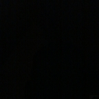 maybe (Maybe) free OnlyFans Leaked Pictures & Videos 

 profile picture