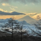 minasan (ミナサン) OnlyFans Leaks 

 profile picture