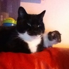 missyk OnlyFans Leaked Photos and Videos 

 profile picture