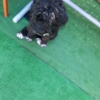 molly_21 OnlyFans Leaked Photos and Videos 

 profile picture