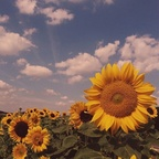 muayly (Muayly) OnlyFans content 

 profile picture