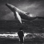 Download nastya OnlyFans content for free 

 profile picture