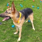 Download nicolasacosta OnlyFans videos and photos for free 

 profile picture