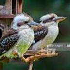 oliver OnlyFans Leak 

 profile picture