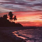 onlystella OnlyFans Leaks 

 profile picture