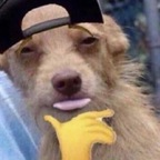 Free access to @palmtoptiger Leaked OnlyFans 

 profile picture