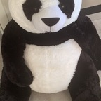 Pwanda pandasticpron Leak OnlyFans 

 profile picture
