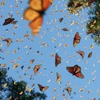 phatandjuicy OnlyFans Leaks 

 profile picture