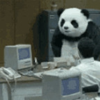 ∞ piezoelectric Leaks OnlyFans 

 profile picture