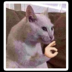 pinacolada (You_never_know40) free OnlyFans content 

 profile picture