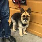 Free access to queenkairi Leaked OnlyFans 

 profile picture