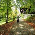 raluca OnlyFans Leaked Photos and Videos 

 profile picture