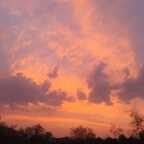 Download redwitch56 OnlyFans content for free 

 profile picture