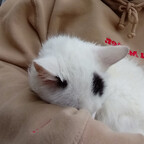 Download rinlin OnlyFans content for free 

 profile picture