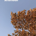 Onlyfans leak robinbird 

 profile picture