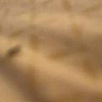 Onlyfans leak rubisdymond 

 profile picture