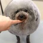 Download rudi68 OnlyFans content for free 

 profile picture