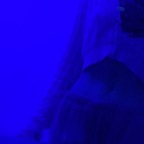 sarahxxx_03 (✨Sarah✨) OnlyFans Leaked Pictures and Videos 

 profile picture