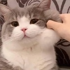 Onlyfans leaked satancake 

 profile picture