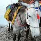 Onlyfans leaks solano 

 profile picture