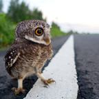 Will (@solqueen) Leak OnlyFans 

 profile picture