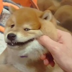 Download specialgiftz OnlyFans videos and photos for free 

 profile picture