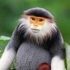 Onlyfans leak spunk 

 profile picture