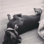 Free access to (steff) Leaked OnlyFans 

 profile picture