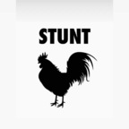 Onlyfans leak stunttcock 

 profile picture