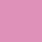 thepinkprincess (P) free OnlyFans Leaked Content 

 profile picture
