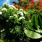 Download tropical_kay OnlyFans videos and photos for free 

 profile picture