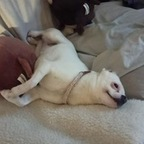 u143803899 (Shadow) OnlyFans Leaks 

 profile picture