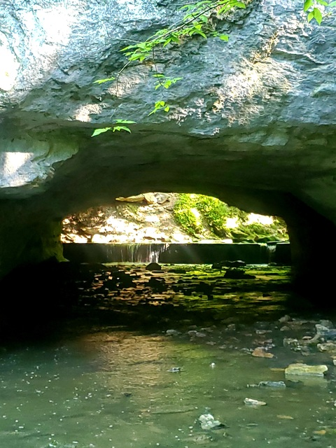 Header of u154094027