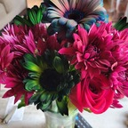 u154337883 (Samantha) free OnlyFans Leaked Pictures & Videos 

 profile picture