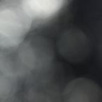 u163822772 OnlyFans Leaked Photos and Videos 

 profile picture