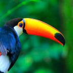 u16462158 OnlyFans Leaked Photos and Videos 

 profile picture