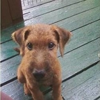 u188436 OnlyFans Leaked Photos and Videos 

 profile picture