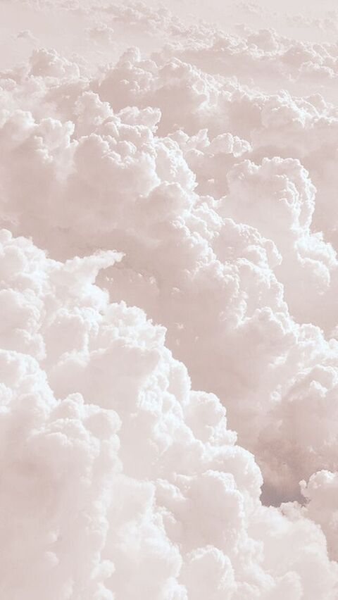 Header of u22006768