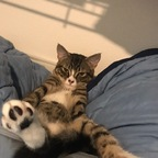 Onlyfans leaked u3p0rnkitty 

 profile picture