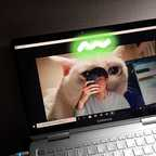 Free access to whyrano Leak OnlyFans 

 profile picture