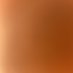 xprincessjessx (Jessica) free OnlyFans Leaked Pictures and Videos 

 profile picture